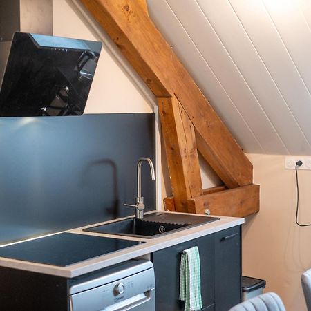 Appartement Balneo-Detente Sainte-Helene-du-Lac Extérieur photo